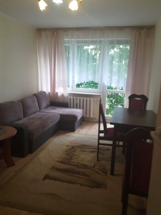 Mam do wynajęcia mieszkanie