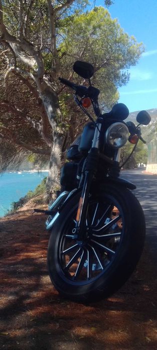 Harley Davidson Iron 883 2014