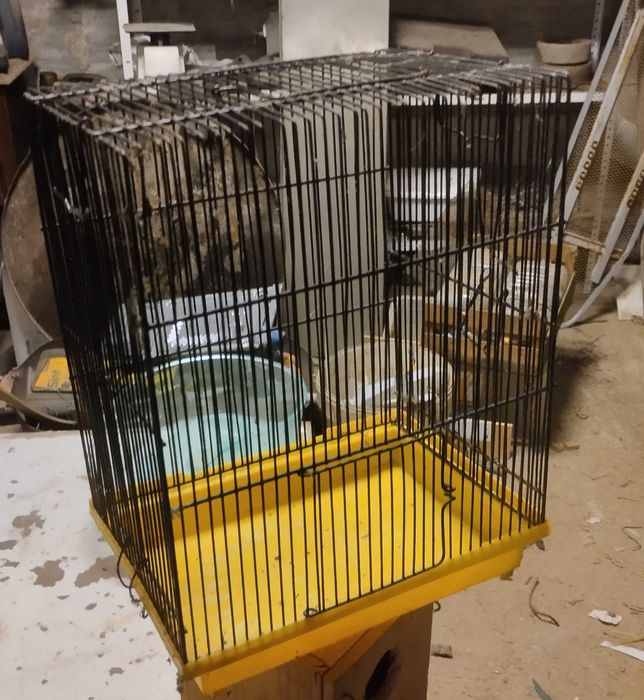 Gaiolas para pássaros e afins