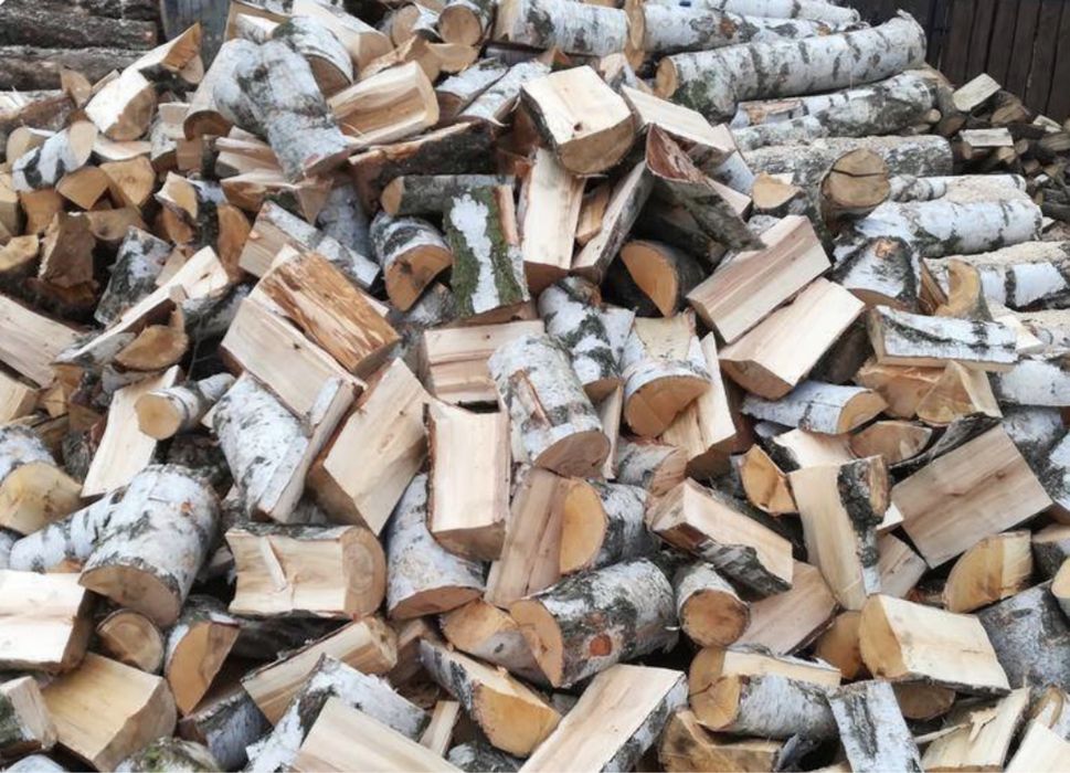 Drewno kominkowe opał drzewny drzewo dąb buk brzoza sosna olcha grab