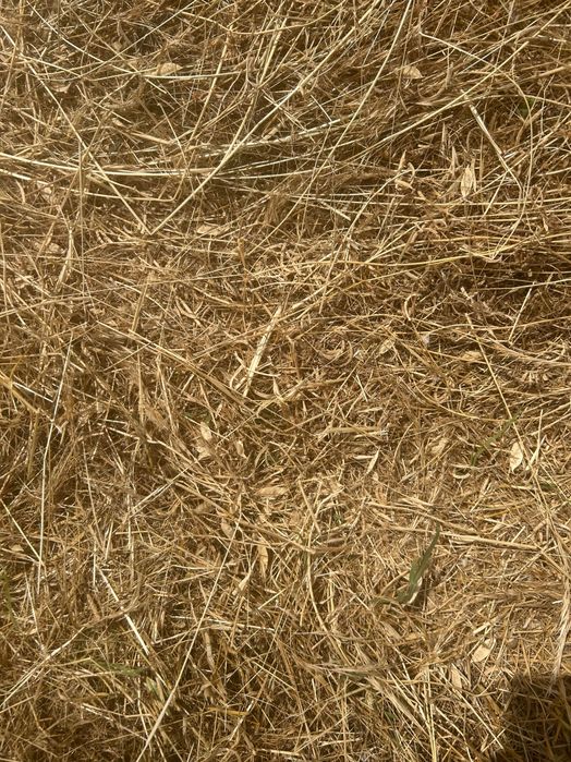 Fardos de palha/feno