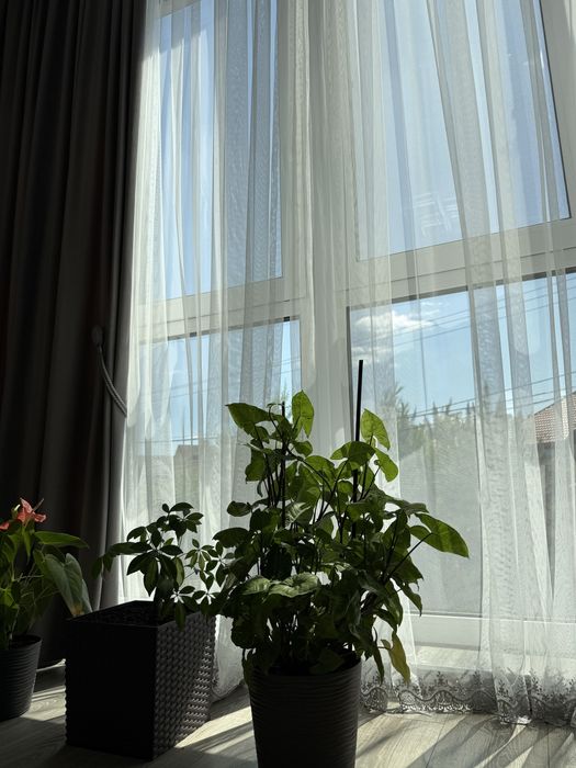 2-кімнатна квартира за адресою вул. Капеланська (площа 68 м²) - Atlanta.ua - фото 5