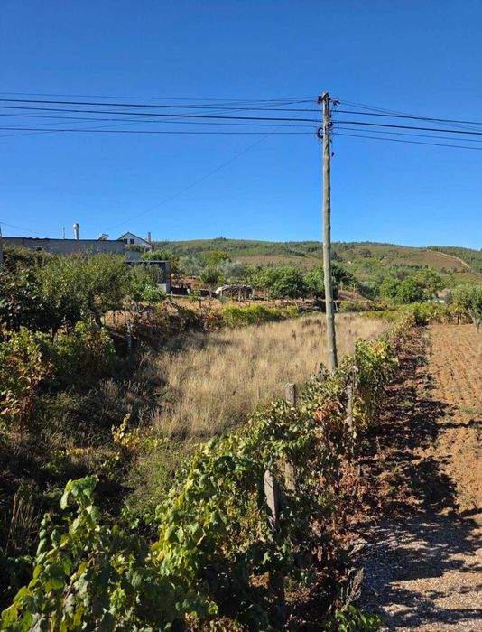 Vende-se terreno rústico com 500m2, na freguesia de Estreito