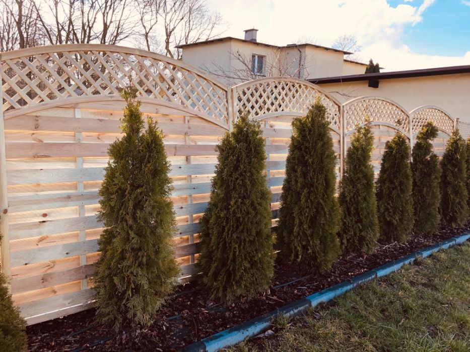 Solidna Pergola Płot Płoty Pergole 180x180 cm LUX08 Najlepsza Jakość