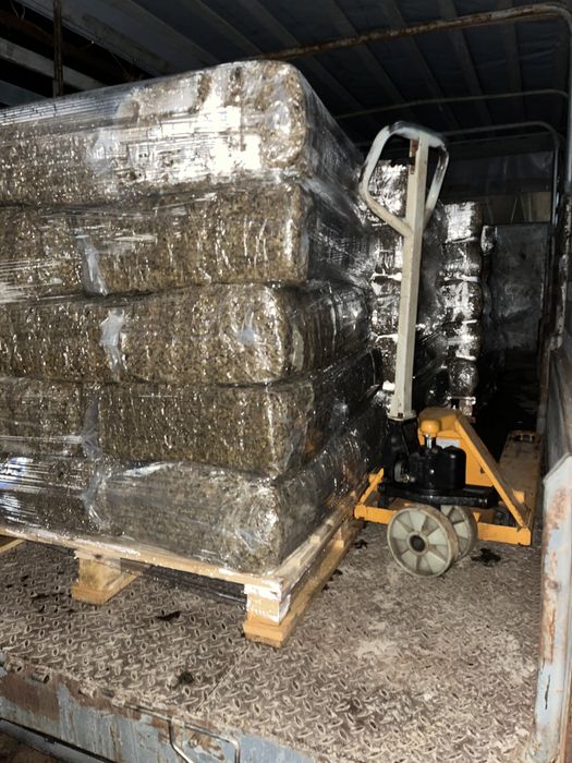 Silagem milho - centro