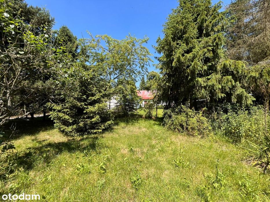 Dom do remontu – Chlewice | 75 m² | działka 2700 m²