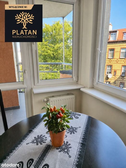 Mieszkanie – Poznań - Widok 2