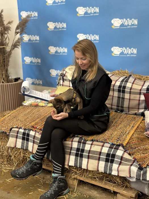 Кінолог-інструктор з побутового дресирування. Київ, Голосіївський р-н