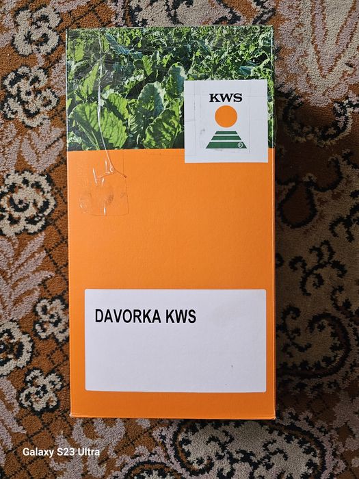 Nasiona buraka cukrowego KWS Davorka
