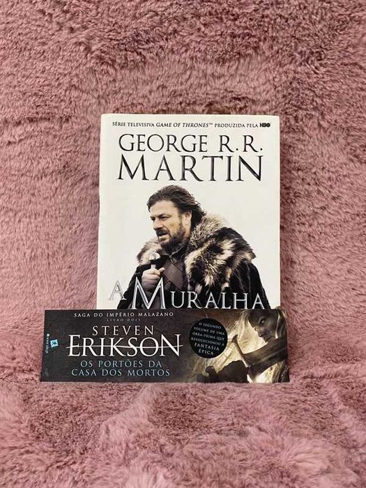 Livro “Muralha de Gelo” da série Game of Thrones %Desconto%