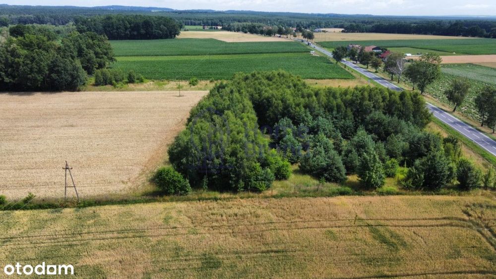 Działka budowlana 1480 m2 | Drołtowice