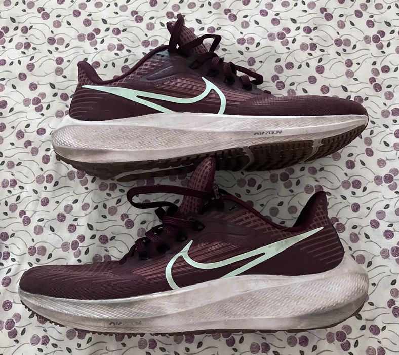 Nike zoom Pegasus 39