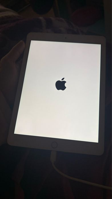 Ipad Air 2 (wi-fi + Cellular)