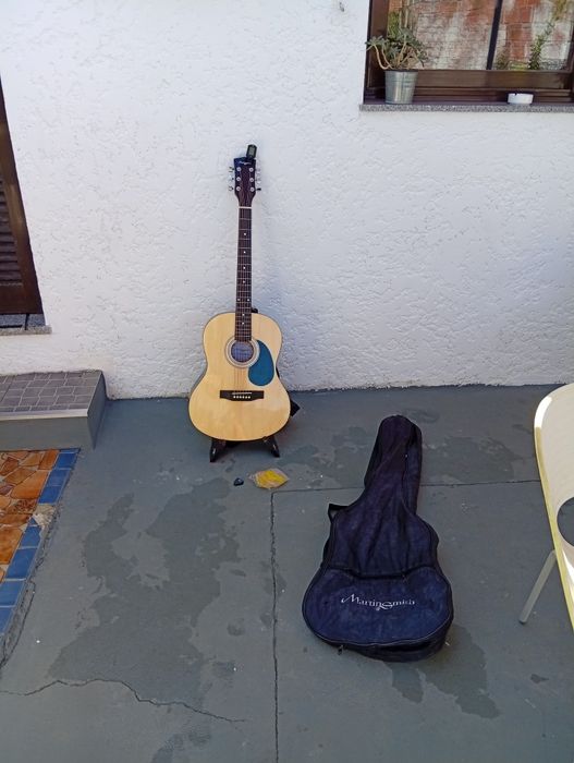 Troco guitarra clássica por chocadeira ou aves do meu interesse