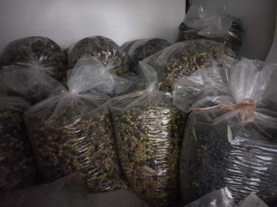 Azeite 100% BIOLÓGICO