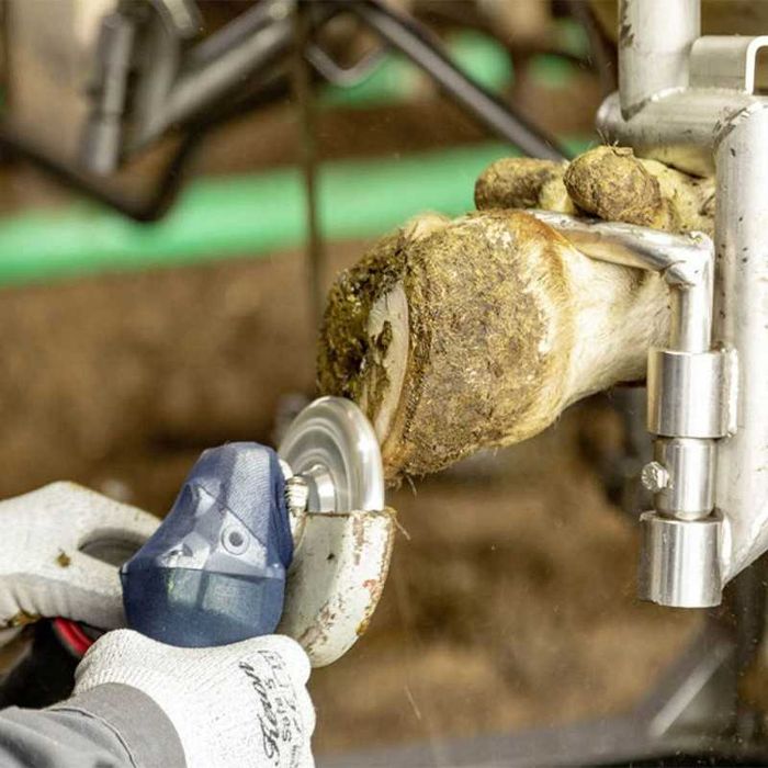 Tarcza do korekcji racic Profi, 6 wymiennych ostrzy, śr. 120 mm, Kerbl