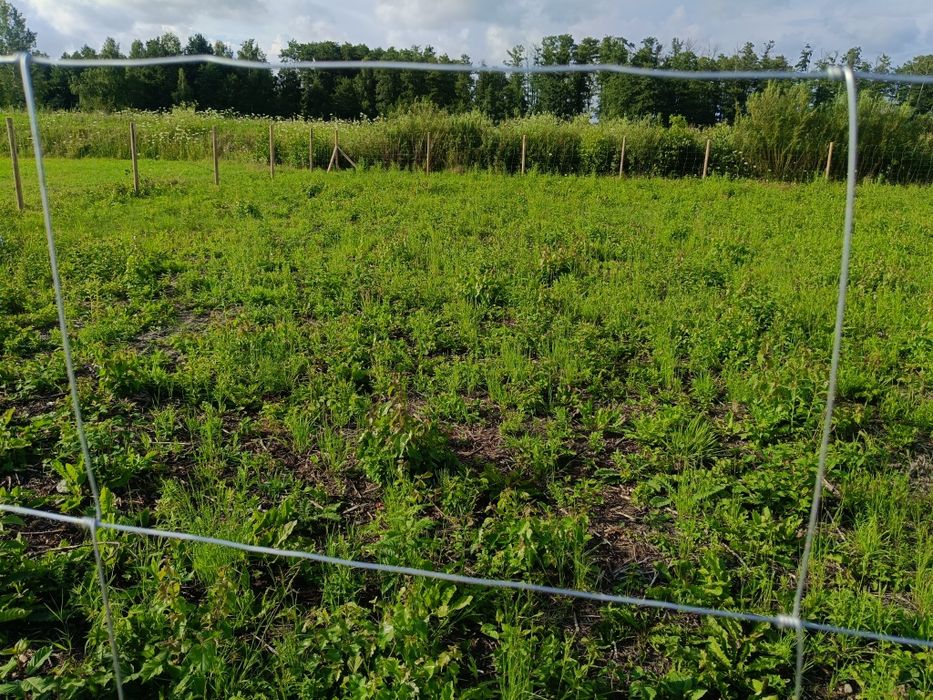 Działka 1058 m² 
Wydane WZ 
W pobliżu media
Działka budowlana 
W przyszłości powstanie w pobliżu SKM do Warszawy 
W pobliżu miejscowo – další