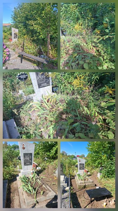 Прибирання на кладовищі,  на могилах