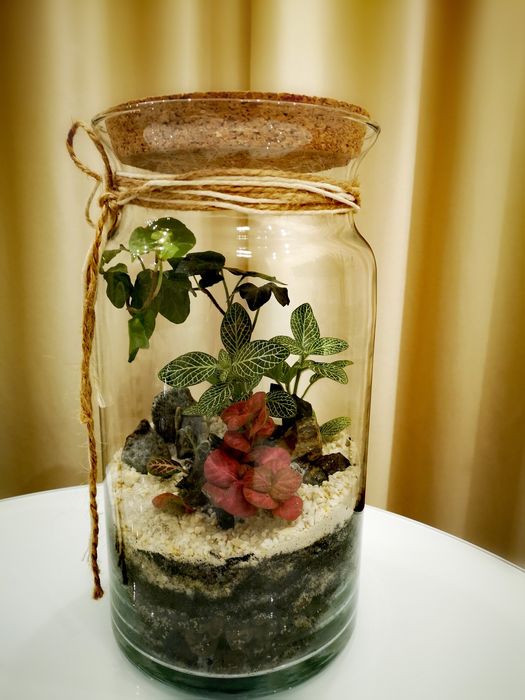 Las w szkle - mikroklimat