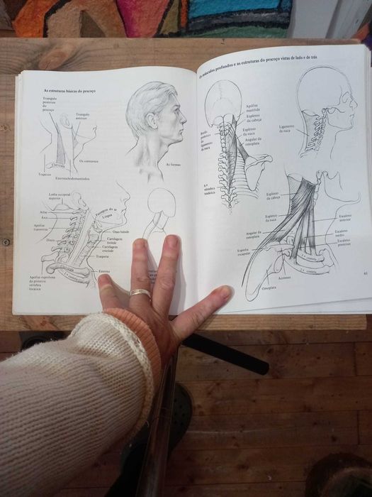 Desenho da Cabeça Humana