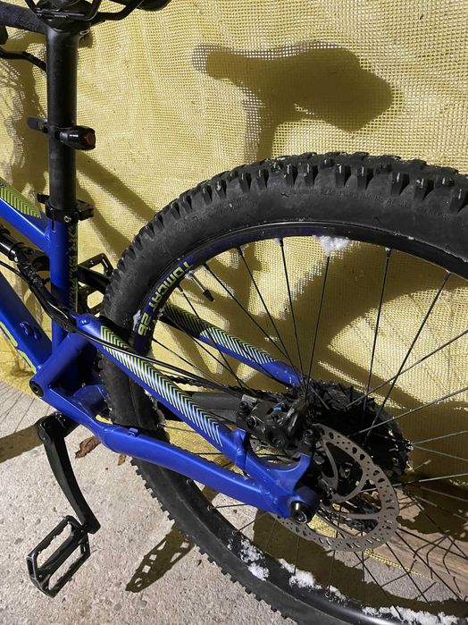 Dartmoor Blackbird Junior 2022