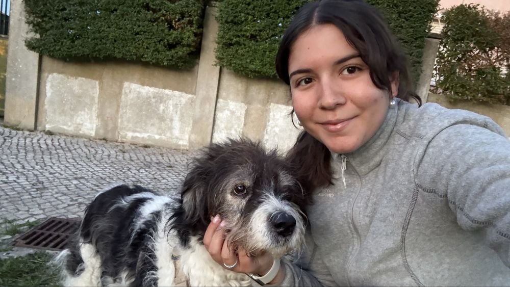 PetSitting, zona de Lisboa