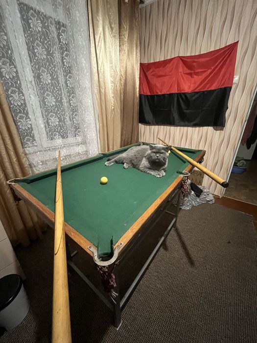 Більярдний стіл.  .