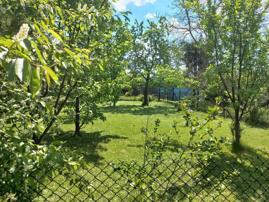 Działka ROD Czerwionka-Leszczyny