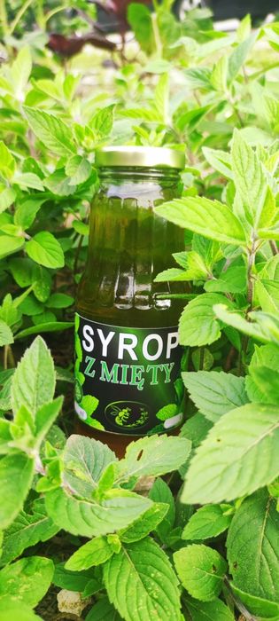 Domowy Syrop z mięty