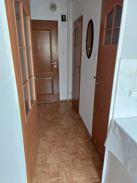 Mieszkanie do wynajęcia 38 m - Widok 3