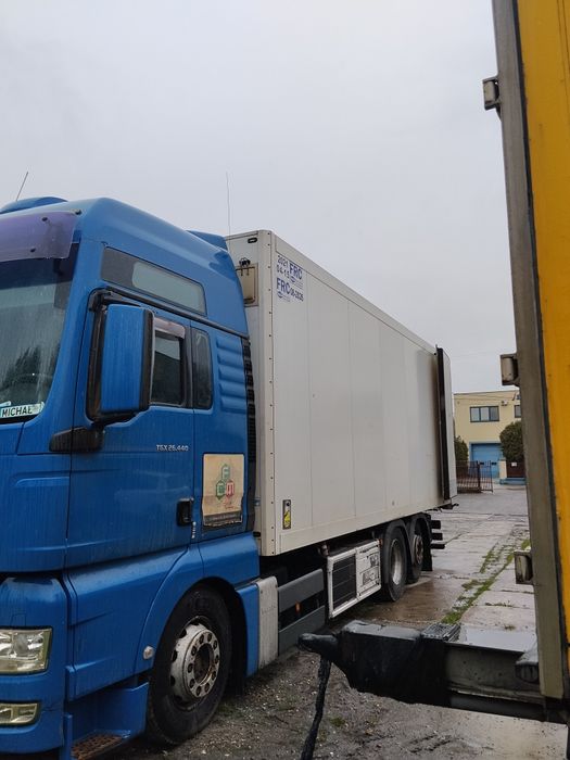 MAN TGX 26-440 chlodniaHAKÒWKA