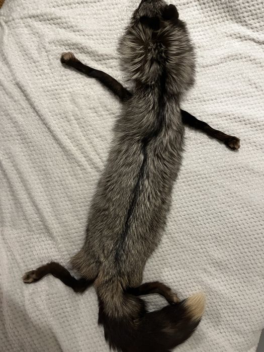 Etola z lisa srebrnego Vintage z lat 80/90