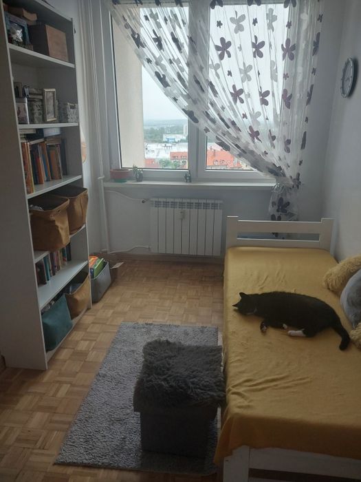 3 pokojowe mieszkanie w świetnej lokalizacji - View 6