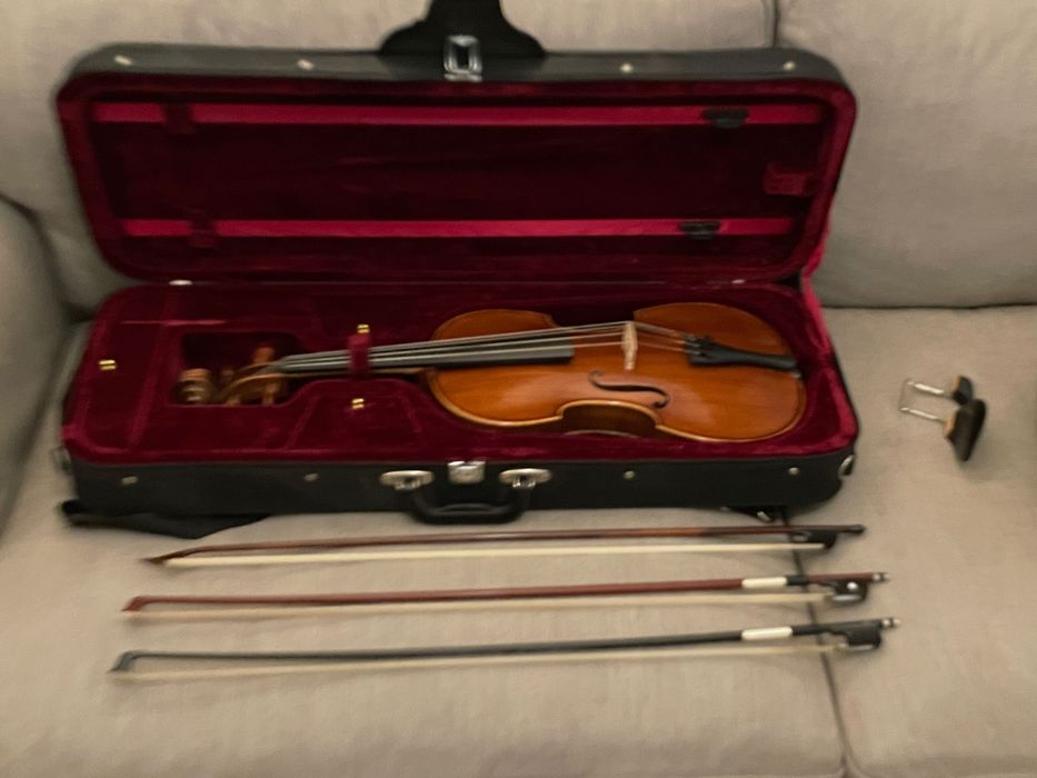 Excelente Viola Moderno 16”