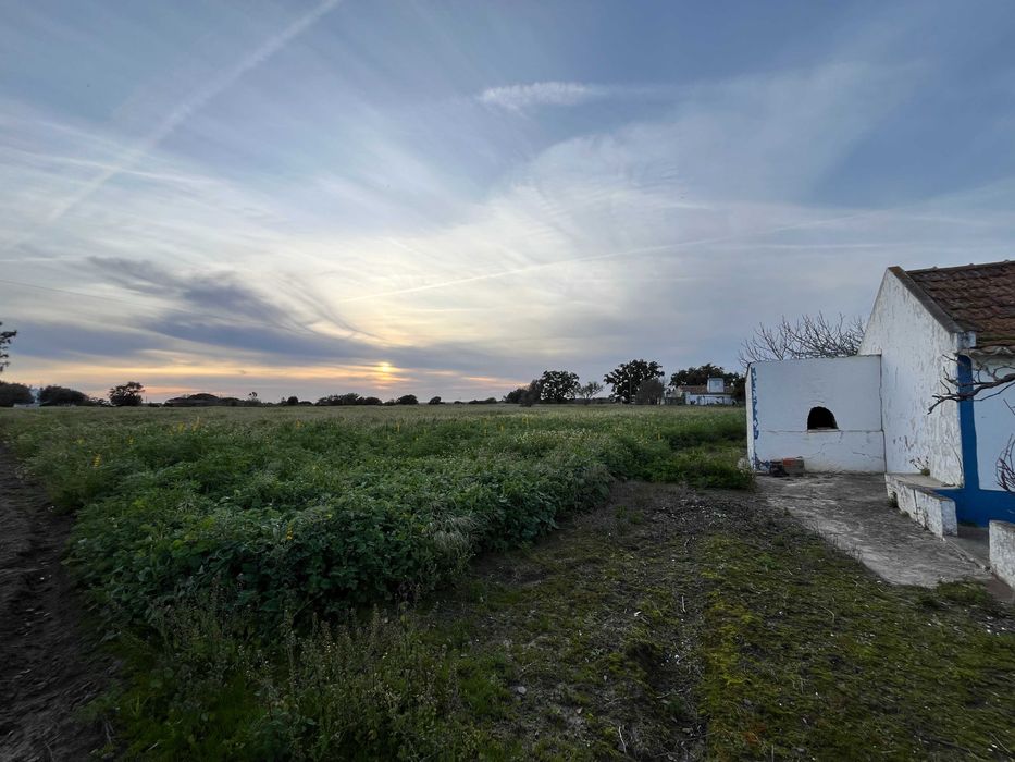 Terreno para venda 8713m2 em Pinheirinhos, Melides