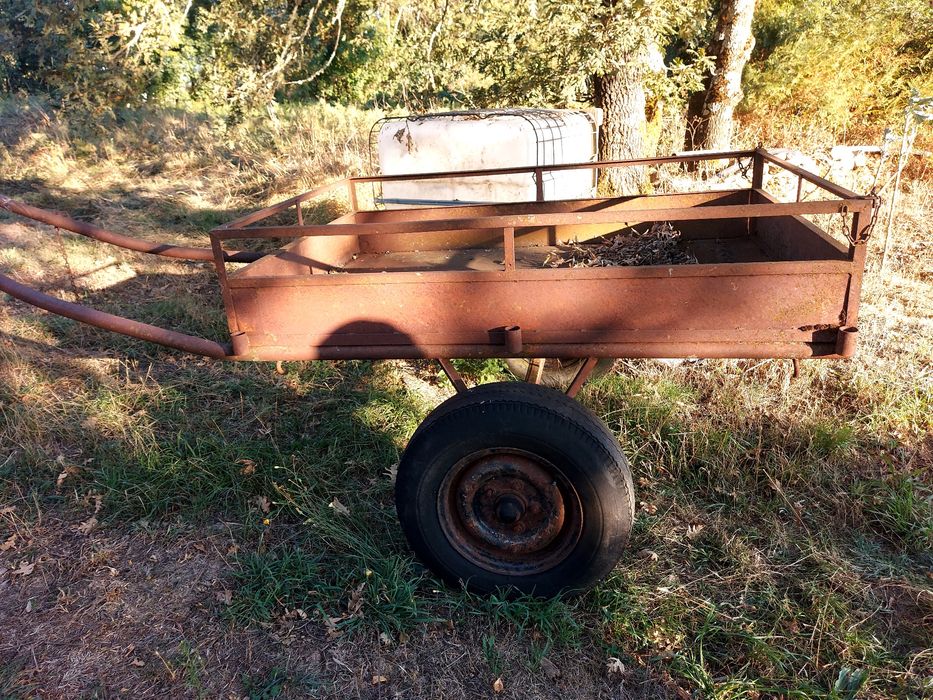Carroça em bom estado