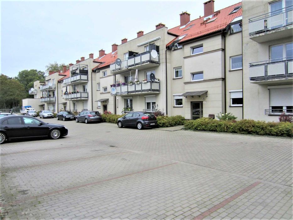 Zdjęcie 7