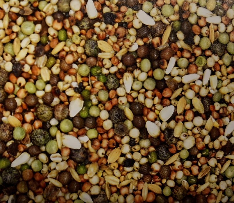 Pokarm dla krótkodziobów MDM