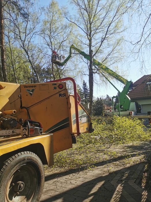 Wycinka drzew / rębak do gałęzi / czyszczenie działek / frezowanie pni