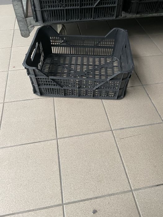 Caixas de plastico