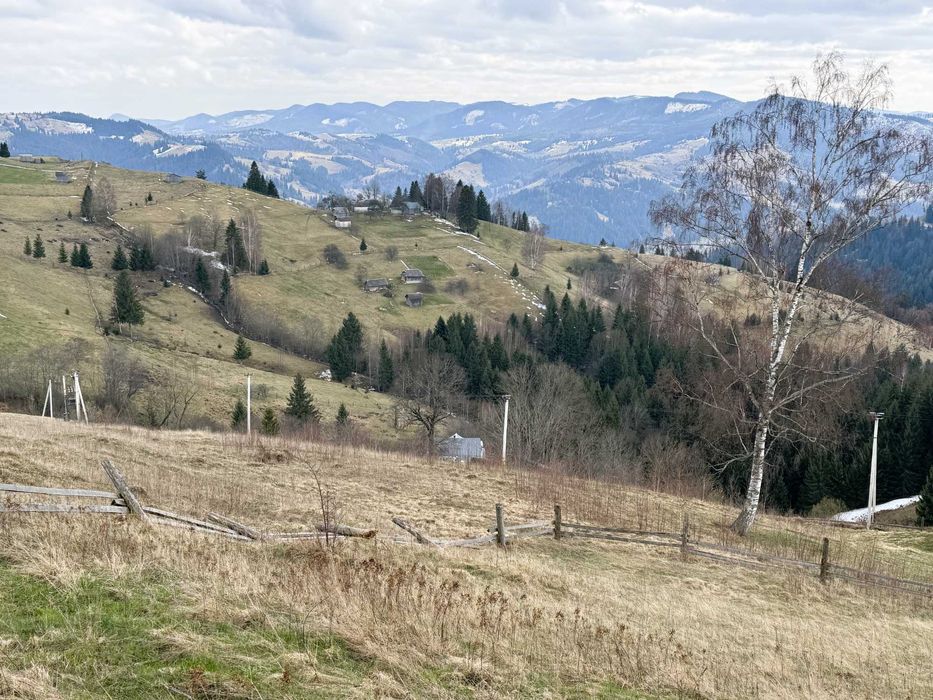 Продаж будинку у горах, с.Довгополе, 85 сот., БЕЗ КОМІСІЇ
