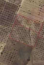 Vendem-se Olivais - Santo Amador