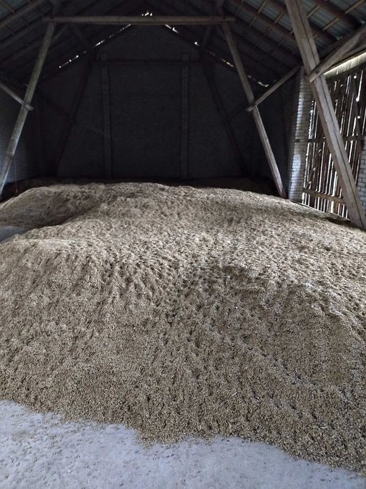 Mieszanka zbożowa - 800 zł/t