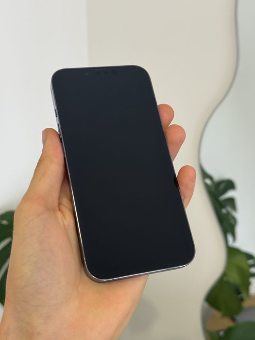 iPhone 13 Pro 1 Tb neverlock