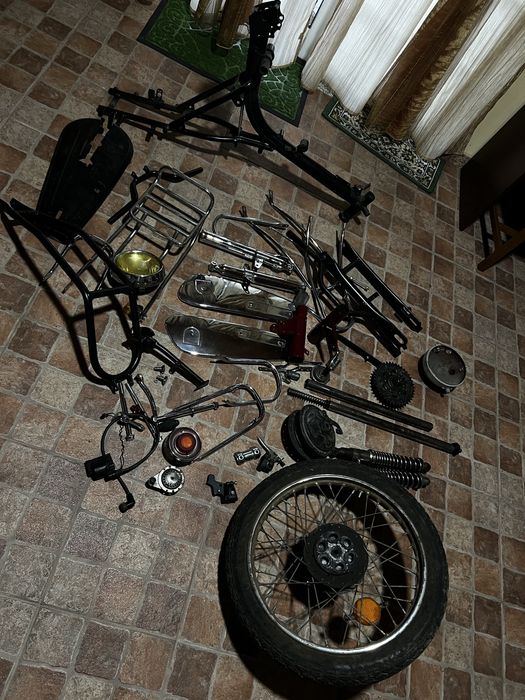 Casal Mamute para resrauro