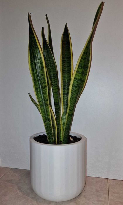 Vaso feito em 3D vários tamanhos