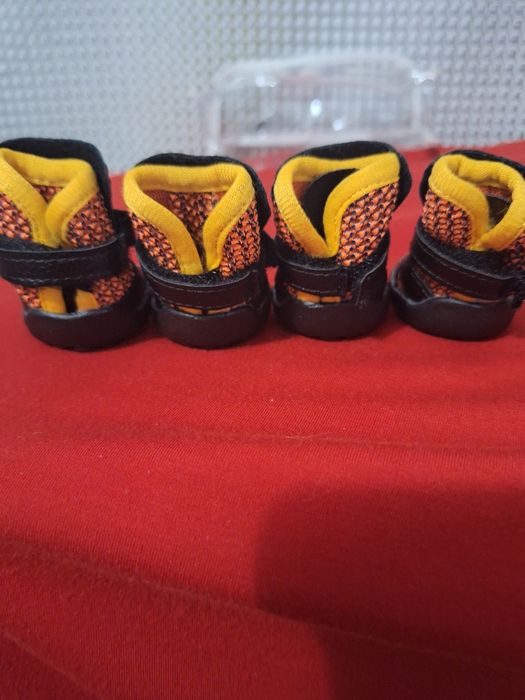 Обувь для собачек.