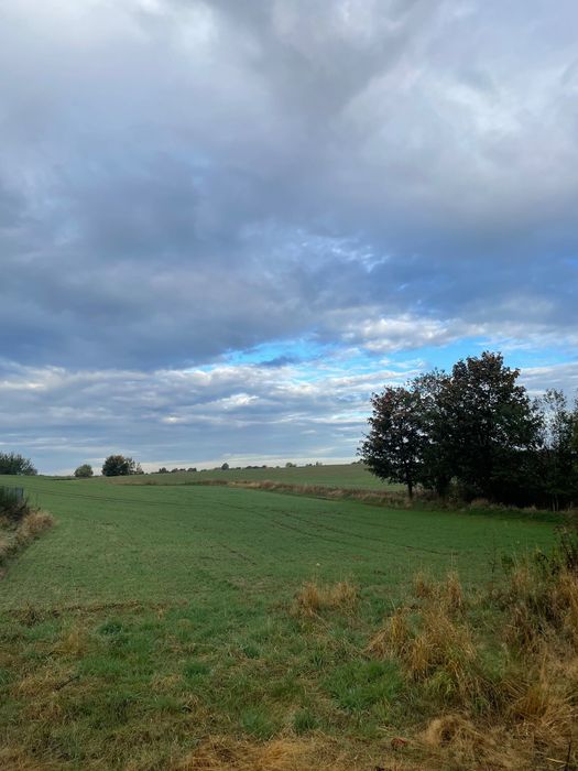 Działka pod budowę - ponad 9000 m² (0,9452 ha) / 4min od Redzikowa - Widok 5