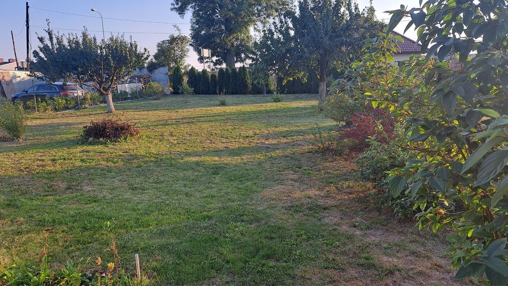 Duża działka ROD nad jeziorkiem z domkiem całorocznym 1000 m² - Widok 3