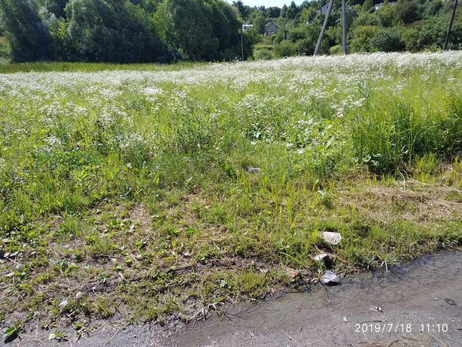 продається земельна ділянка 0.6655га